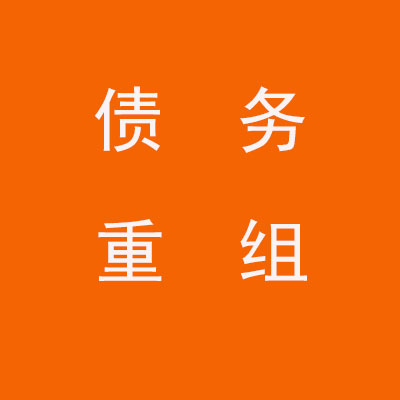 天涯镇个人债务重组优化